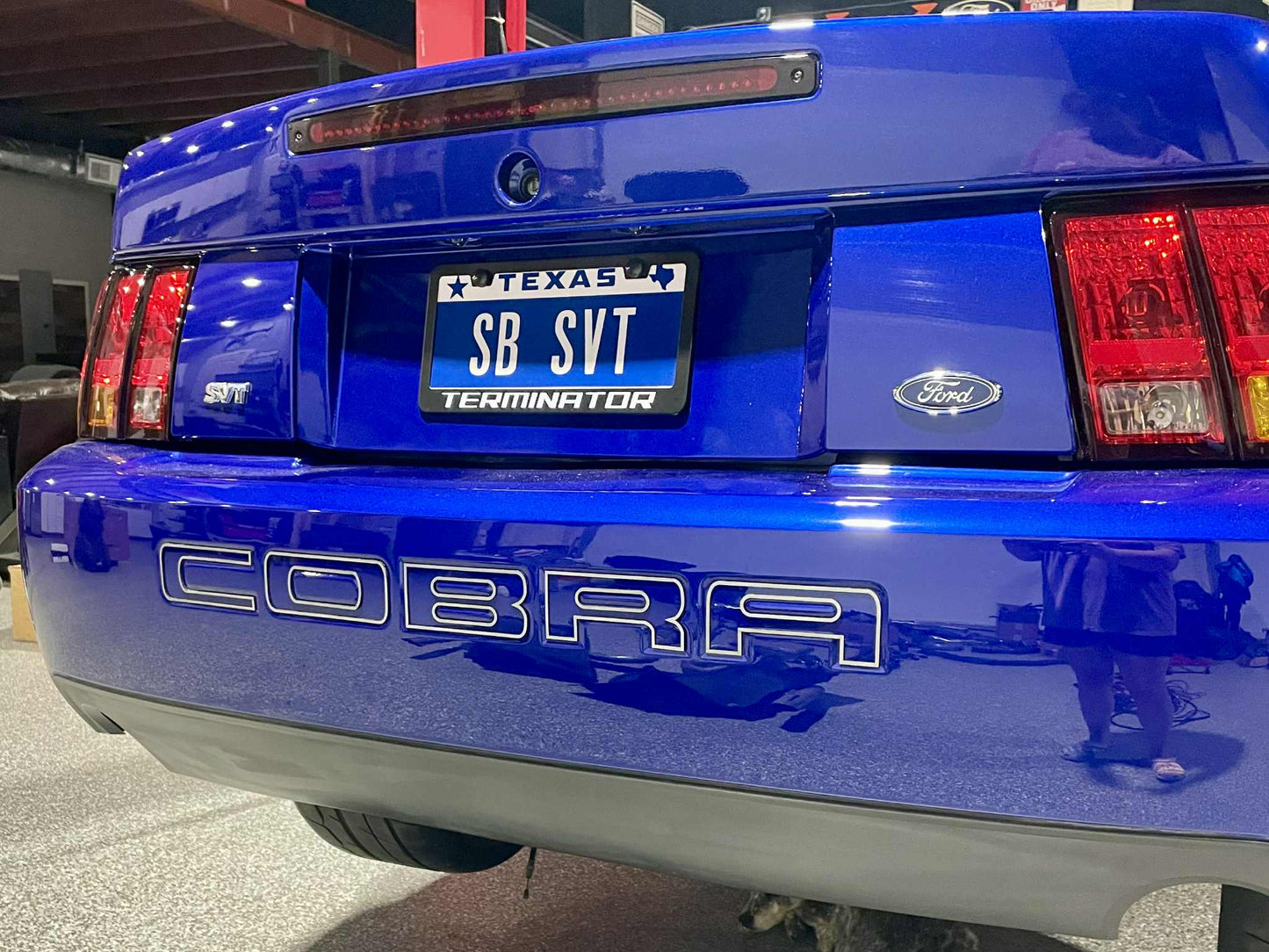 03/04 Cobra Bumper Insert Outlines