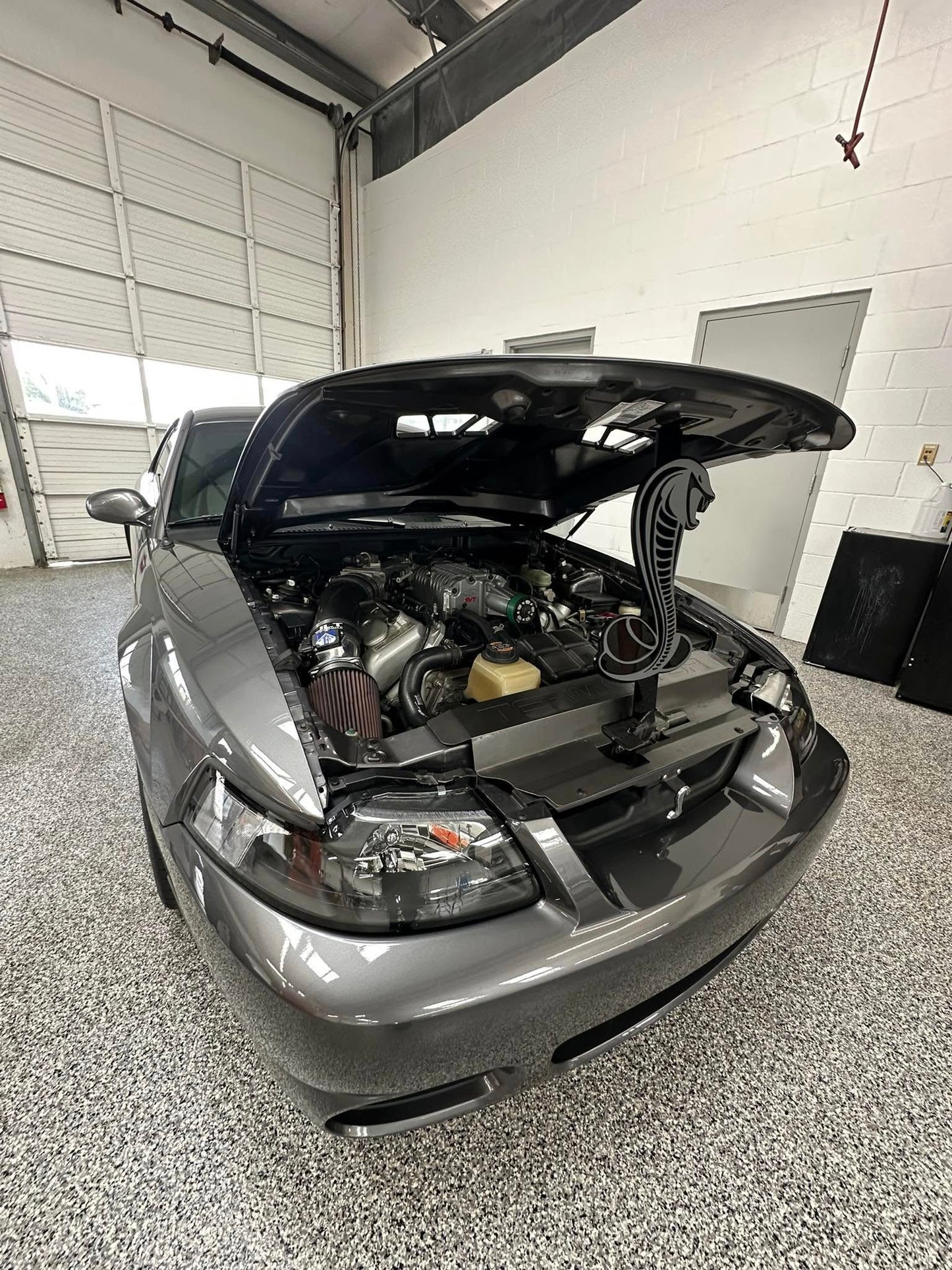 Mustang Cobra Hood Props