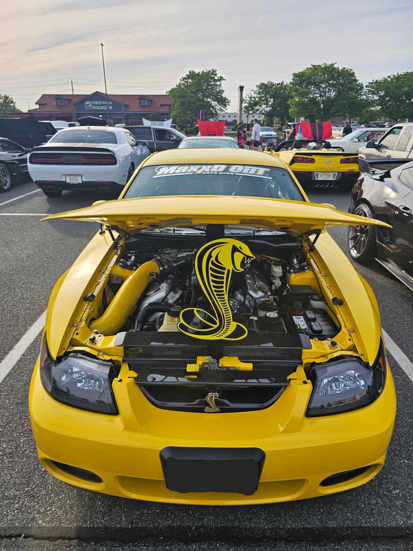 Mustang Cobra Hood Props