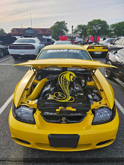 Mustang Cobra Hood Props