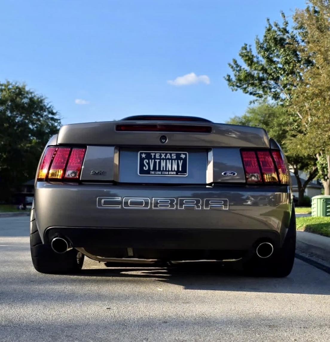 03/04 Cobra Bumper Insert Outlines