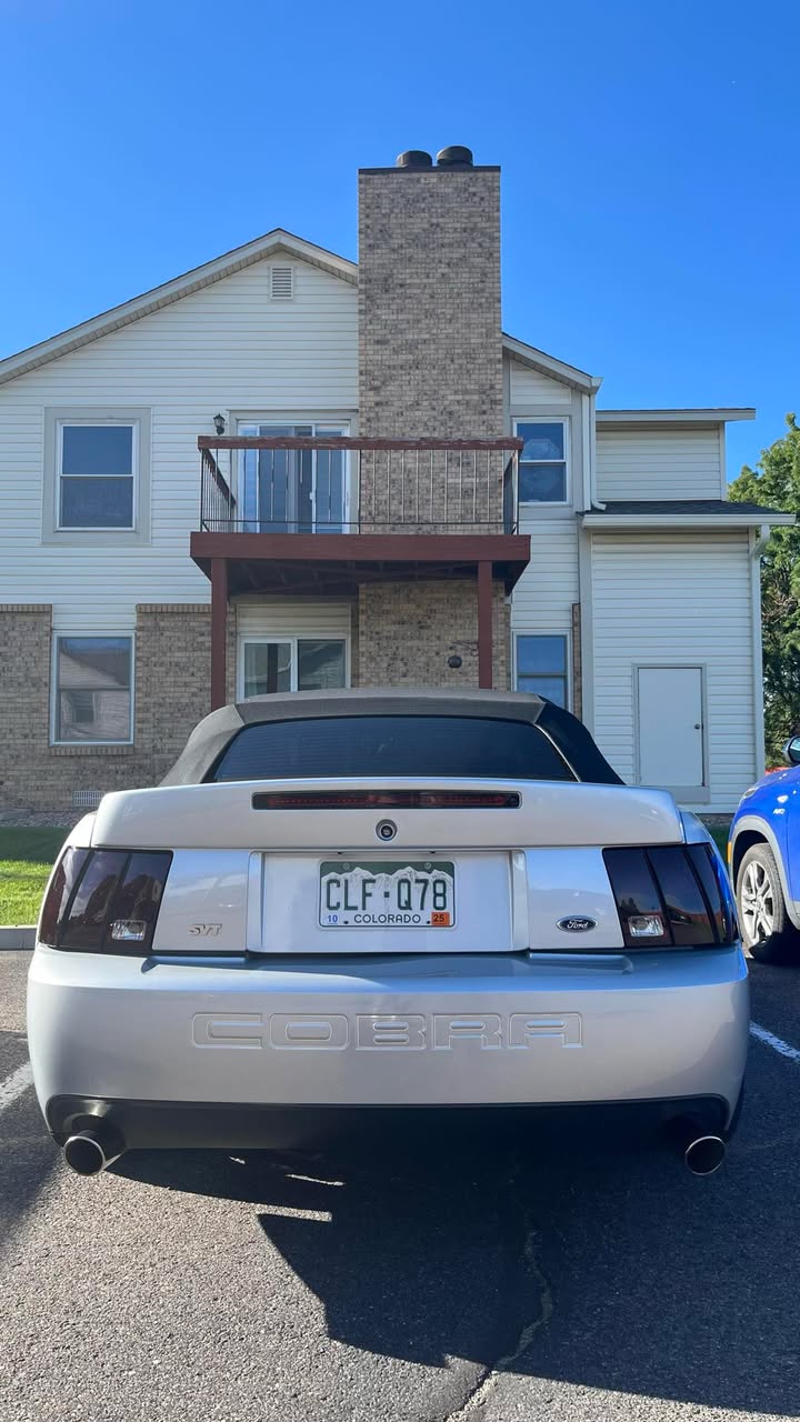 03/04 Cobra Bumper Insert Outlines