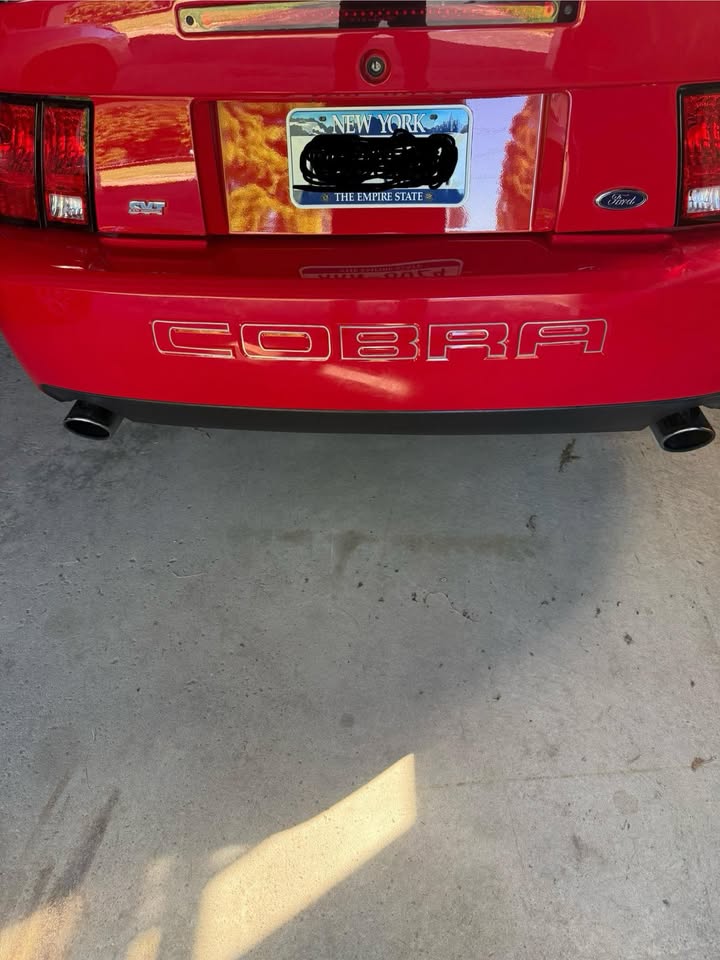 03/04 Cobra Bumper Insert Outlines