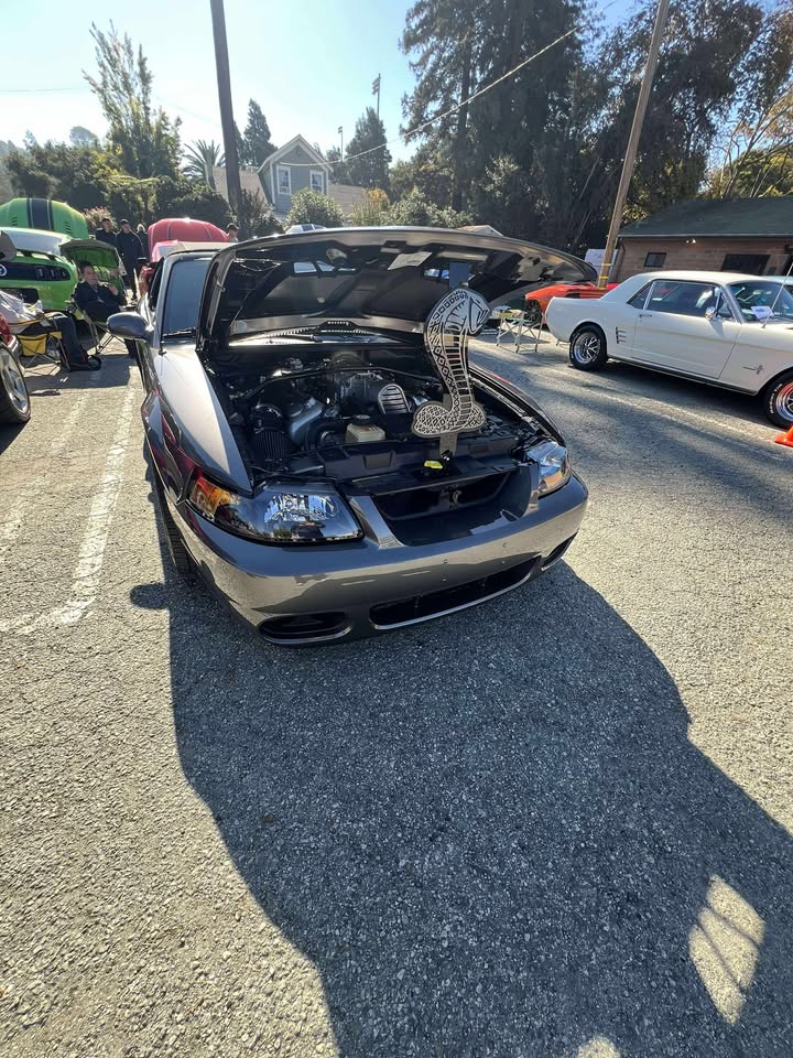 Mustang Cobra Hood Props