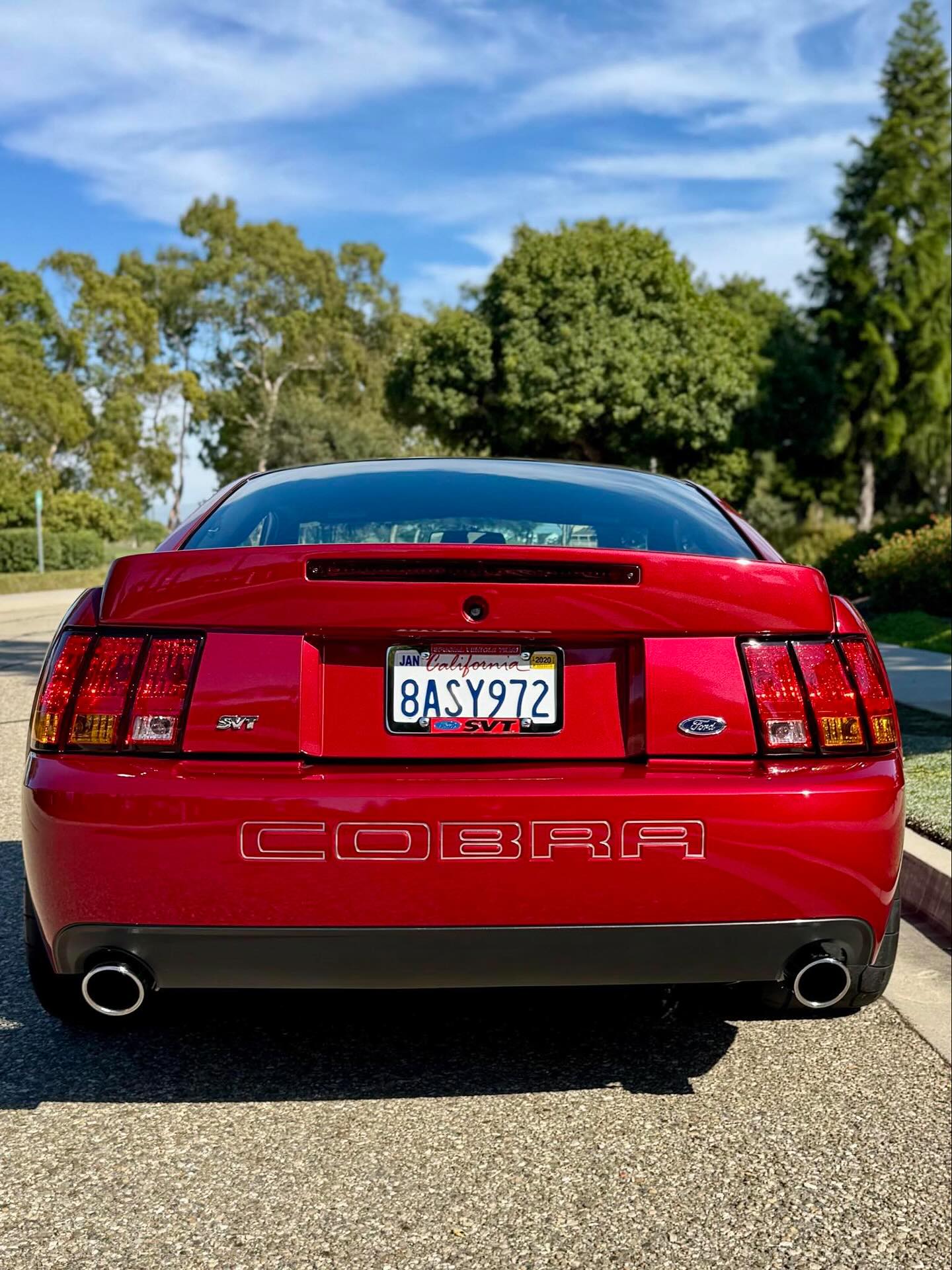 03/04 Cobra Bumper Insert Outlines