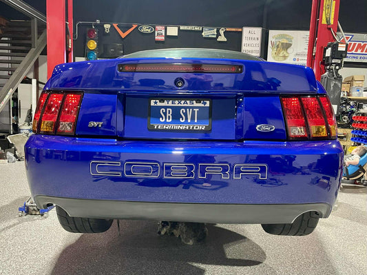 03/04 Cobra Bumper Insert Outlines